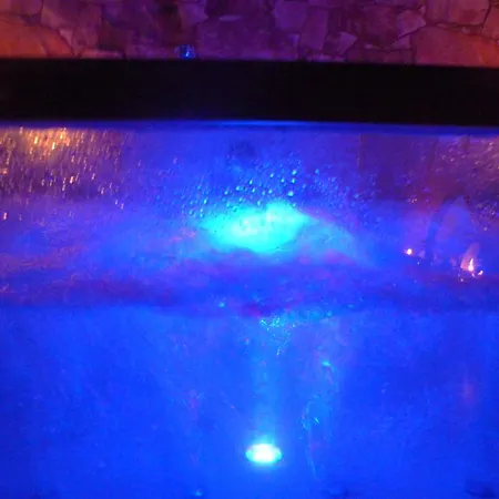 El Eden De Javier Robledillo